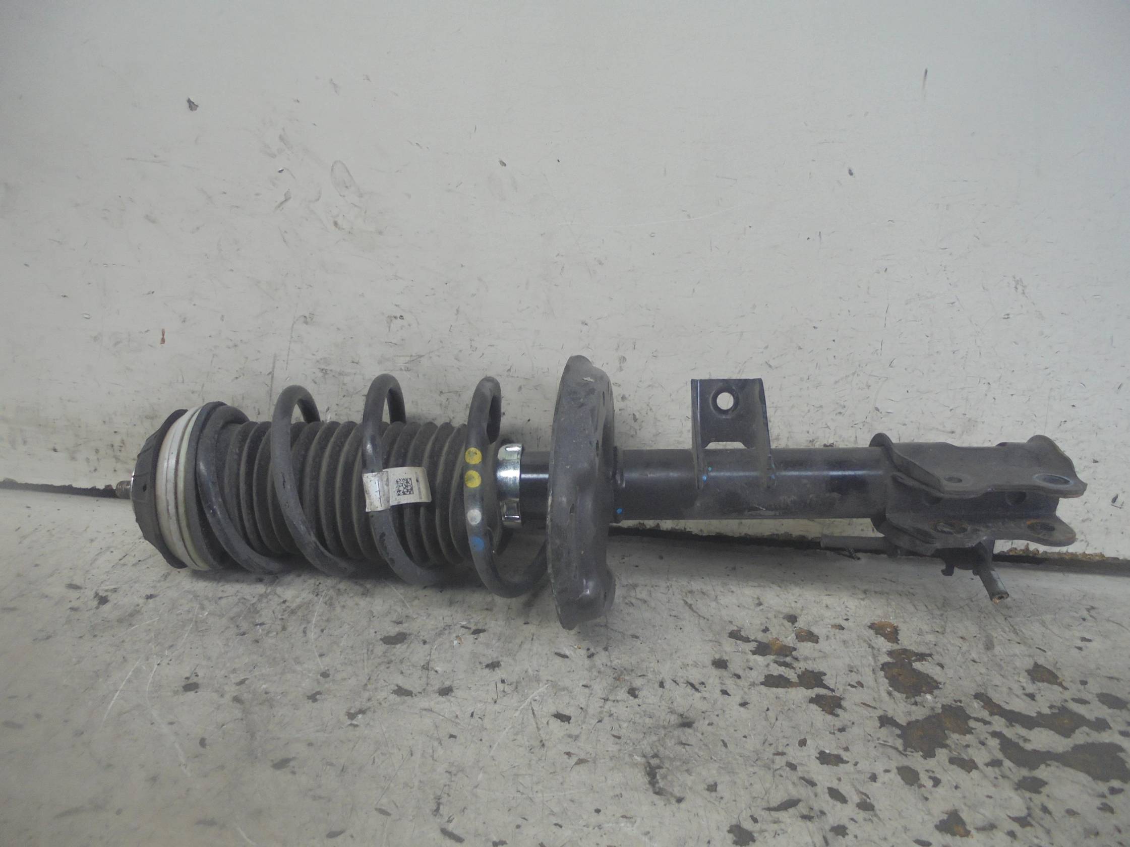 Ammortizzatore ant. sx.